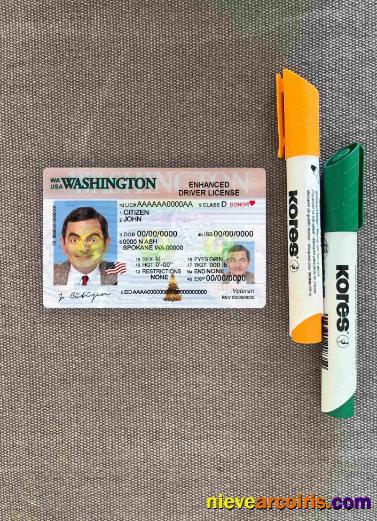 USA Washington driving license photolook